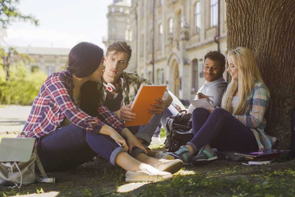 College students having discussion under tree on campus, preparing for exams